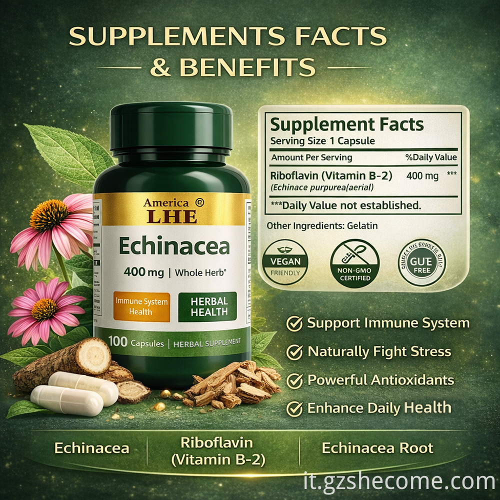 Echinacea Capsules5